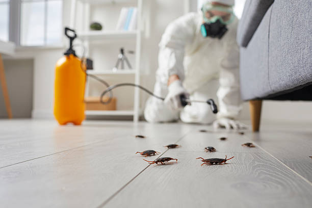 Post-Treatment Bed Bug Interceptor Monitoring in Lake Carmel