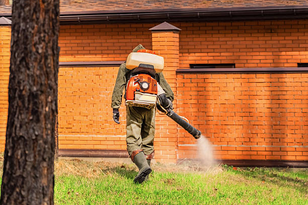 Bed Bug Clearance Verification and Documentation in Lake Carmel